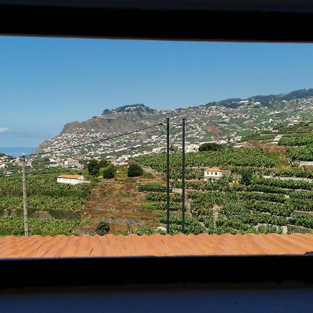 Villa Nova Madeira In Funchal Casa A And B Zimmer foto