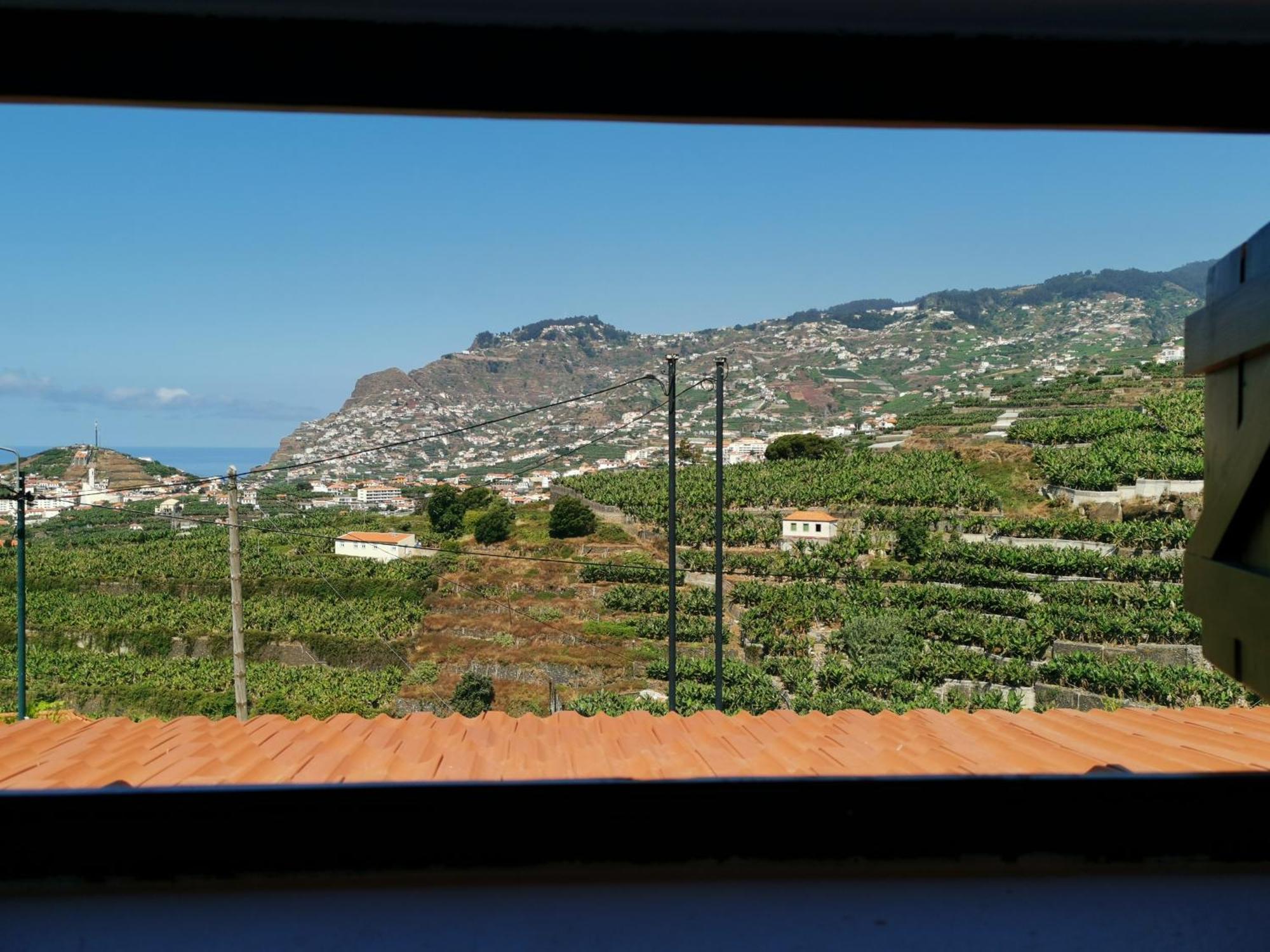 Villa Nova Madeira In Funchal Casa A And B Zimmer foto